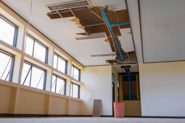 Best Carpet water damage restoration  in Palm Springs North, FL