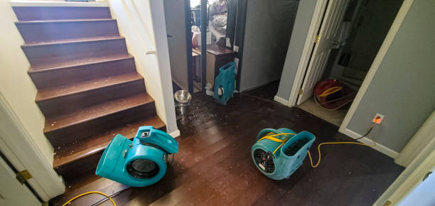 Best Residential water damage restoration  in Palm Springs North, FL