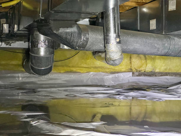 Best Water damage contractors near me  in Palm Springs North, FL