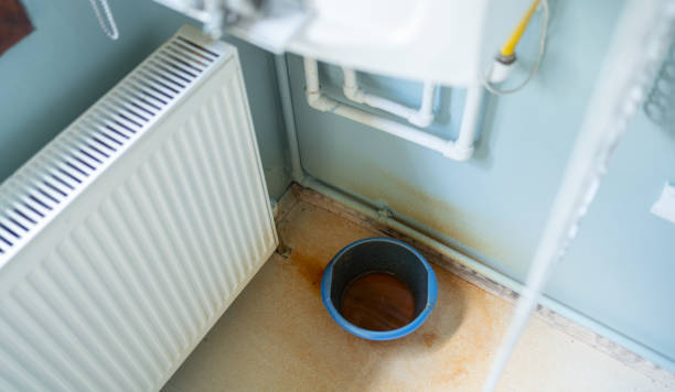 Palm Springs North, FL Water damage restoration Pros