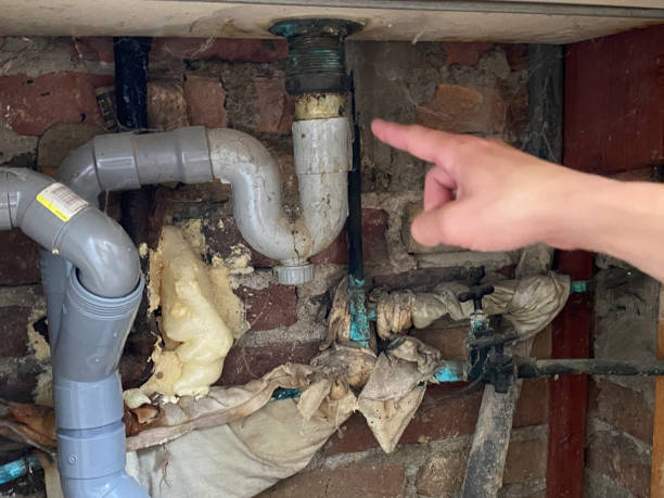 Best Fire Damage Restoration  in Palm Springs North, FL