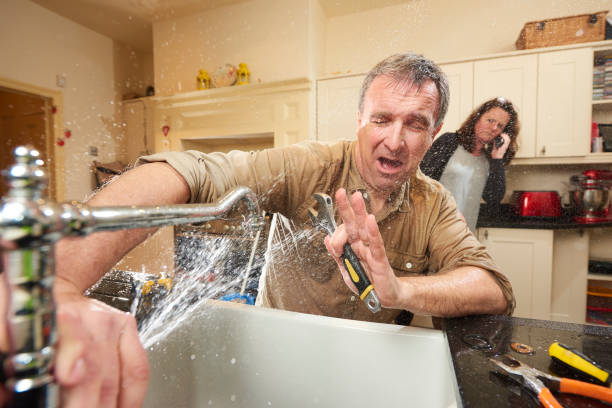 Best 24/7 water damage repair  in Palm Springs North, FL
